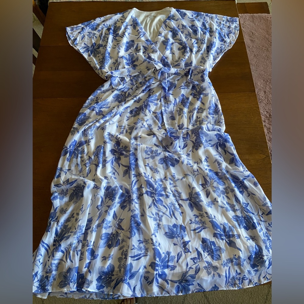 Sandra Darren Midi Dress White and Blue Floral